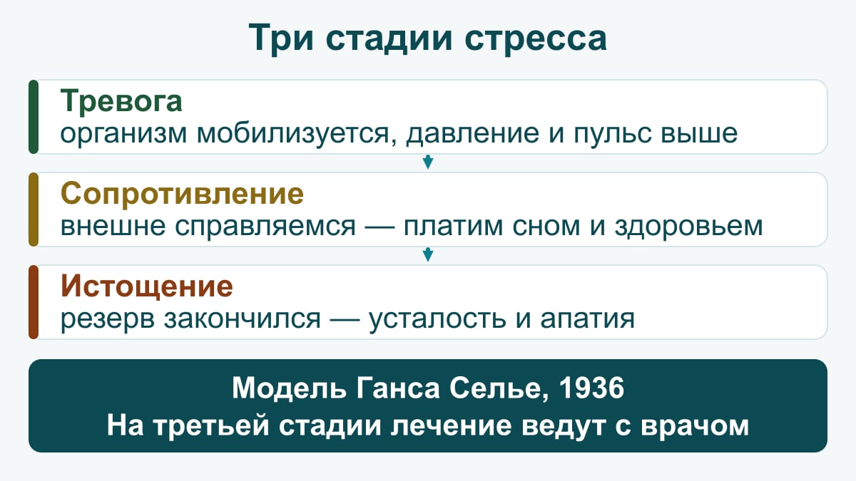 Схема: три стадии стресса по Гансу Селье (1936) — тревога (организм мобилизуется, давление и пульс выше), сопротивление (внешне справляемся, платим сном и здоровьем), истощение (резерв закончился — усталость и апатия); на третьей стадии лечение ведут с врачом